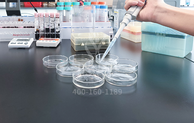 梅艳芳二哥梅德