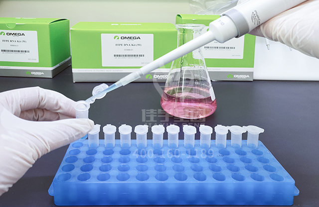 佳学基因新生儿“耳聋基因解码”筛查 佳学基因新生儿“耳聋基因解码”筛查