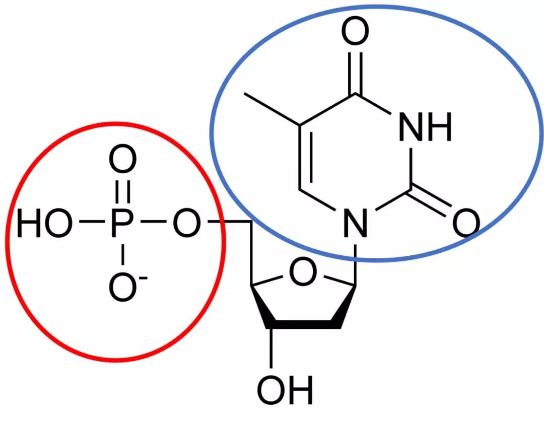 【佳学基因检测】什么是基因检测北斗定位技术？