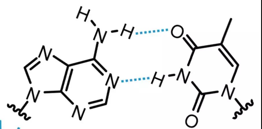 【佳学基因检测】什么是基因检测北斗定位技术？