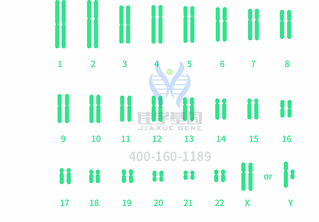 【佳学基因检测】做多发性骨髓瘤t(11:14)型基因检测需要多少钱? 【佳学基因检测】做多发性骨髓瘤t(11:14)型基因检测需要多少钱?