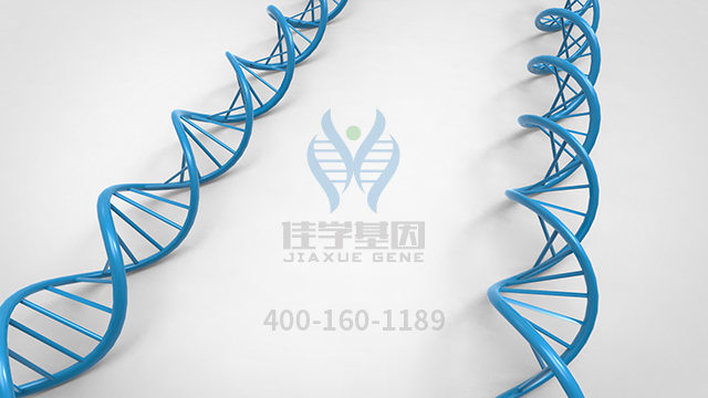 【佳学基因检测】原发性限局性皮肤淀粉样变1型基因解码、基因检测报告时间