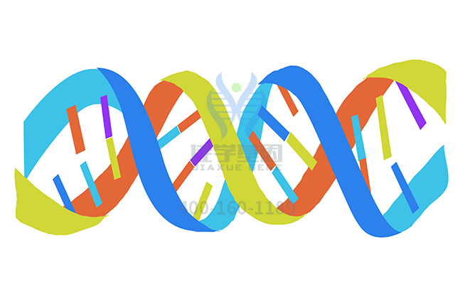 【佳学基因检测】如何区分骨髓增生异常综合症基因解码、基因检测? 【佳学基因检测】如何区分骨髓增生异常综合症基因解码、基因检测?