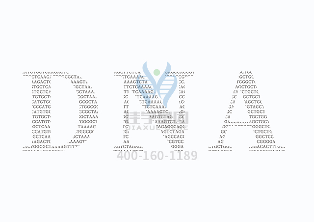 【佳学基因检测】什么人要做由于ADA缺乏导致的SCID延迟发病型基因解码、基因检测? 【佳学基因检测】什么人要做由于ADA缺乏导致的SCID延迟发病型基因解码、基因检测?