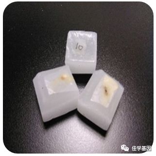 【佳学基因检测】基因检测、基因解码样品采集说明 【佳学基因检测】基因检测、基因解码样品采集说明