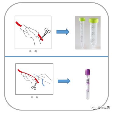 【佳学基因检测】基因检测、基因解码样品采集说明 【佳学基因检测】基因检测、基因解码样品采集说明