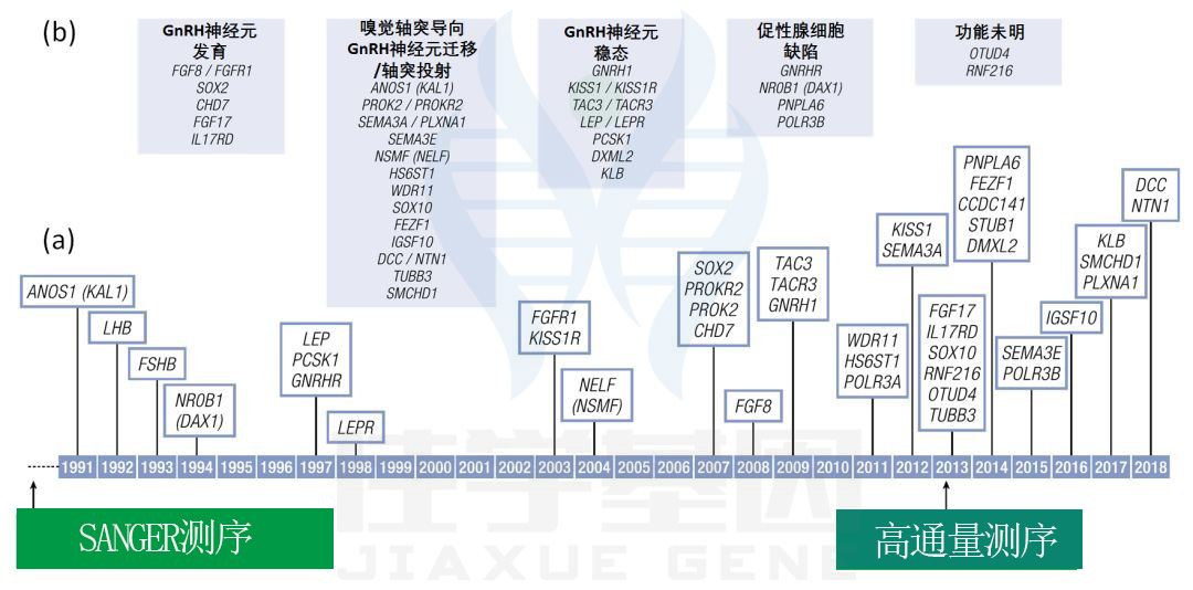 【佳学基因检测】青春期延迟的多种表现及其基因解码、基因检测的重要作用