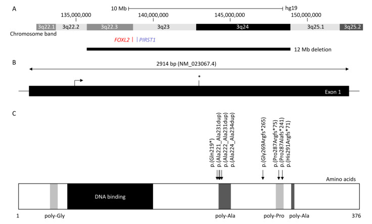 【佳学基因检测】睑裂狭小综合征Blepharophimosis syndrome基因解码、基因检测