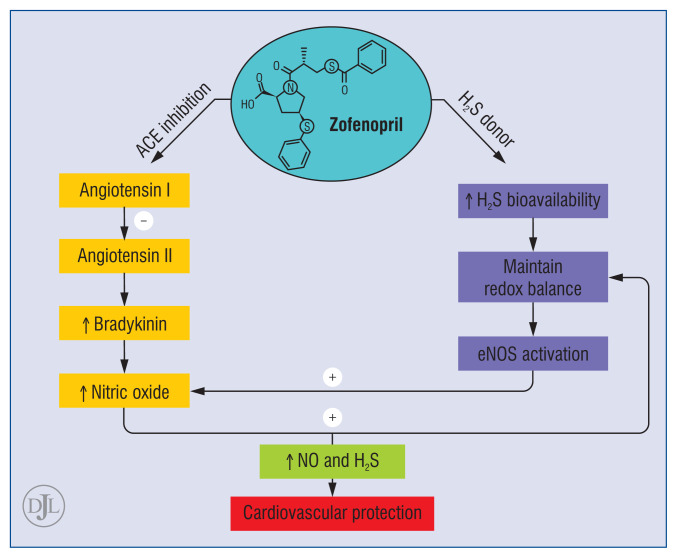 【佳学基因检测】高血压药物佐芬普利Zofenopril安全用药基因检测 【佳学基因检测】高血压药物佐芬普利Zofenopril安全用药基因检测