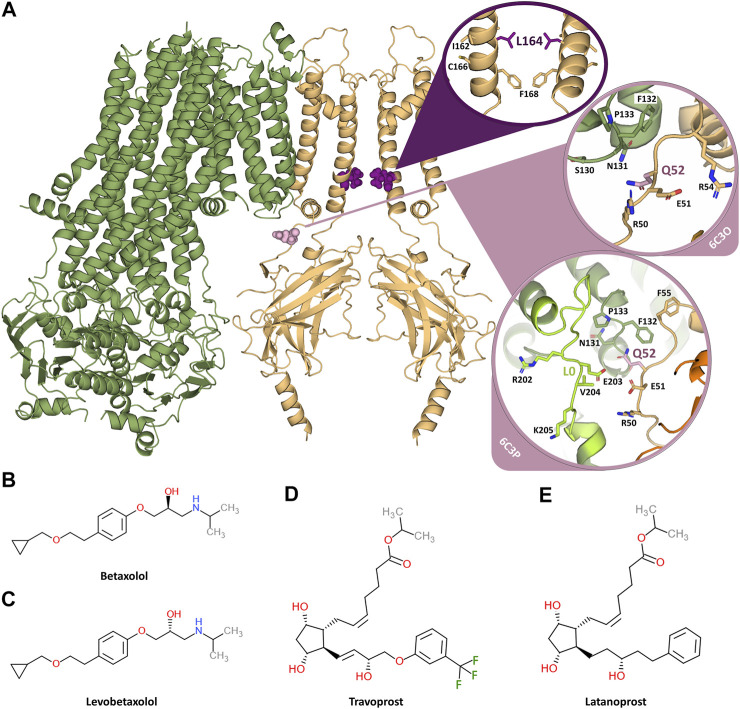 【佳学基因检测】糖尿病的精准用药基因解码:离子通道突变基因检测 【佳学基因检测】糖尿病的精准用药基因解码:离子通道突变基因检测