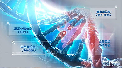 【佳学基因检测】PCR基因检测ADA基因有突变，如何解读？