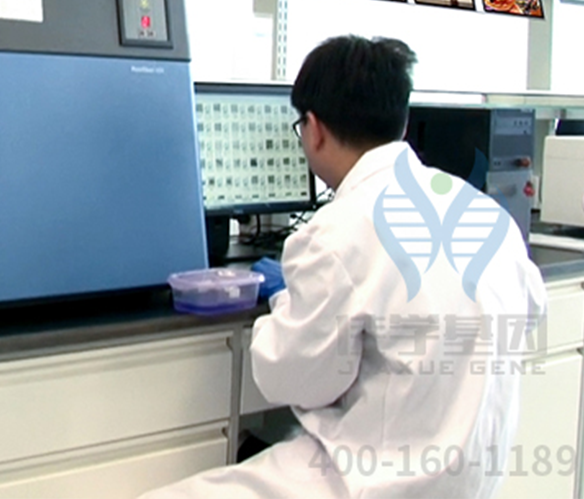 【佳学基因解码-基因检测】杜氏肌营养不良会不会遗传？如何避免后代患病？