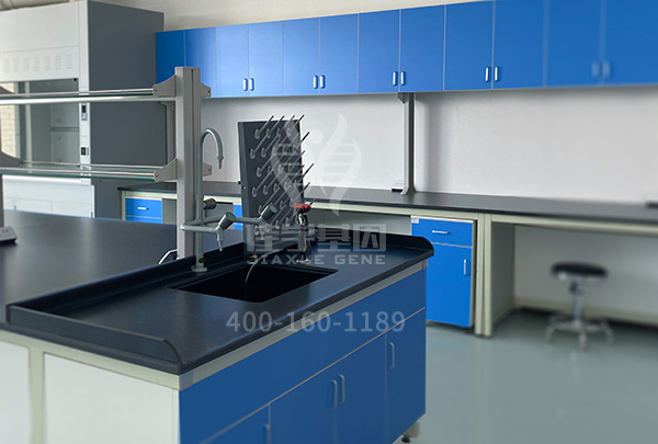 【佳学基因检测