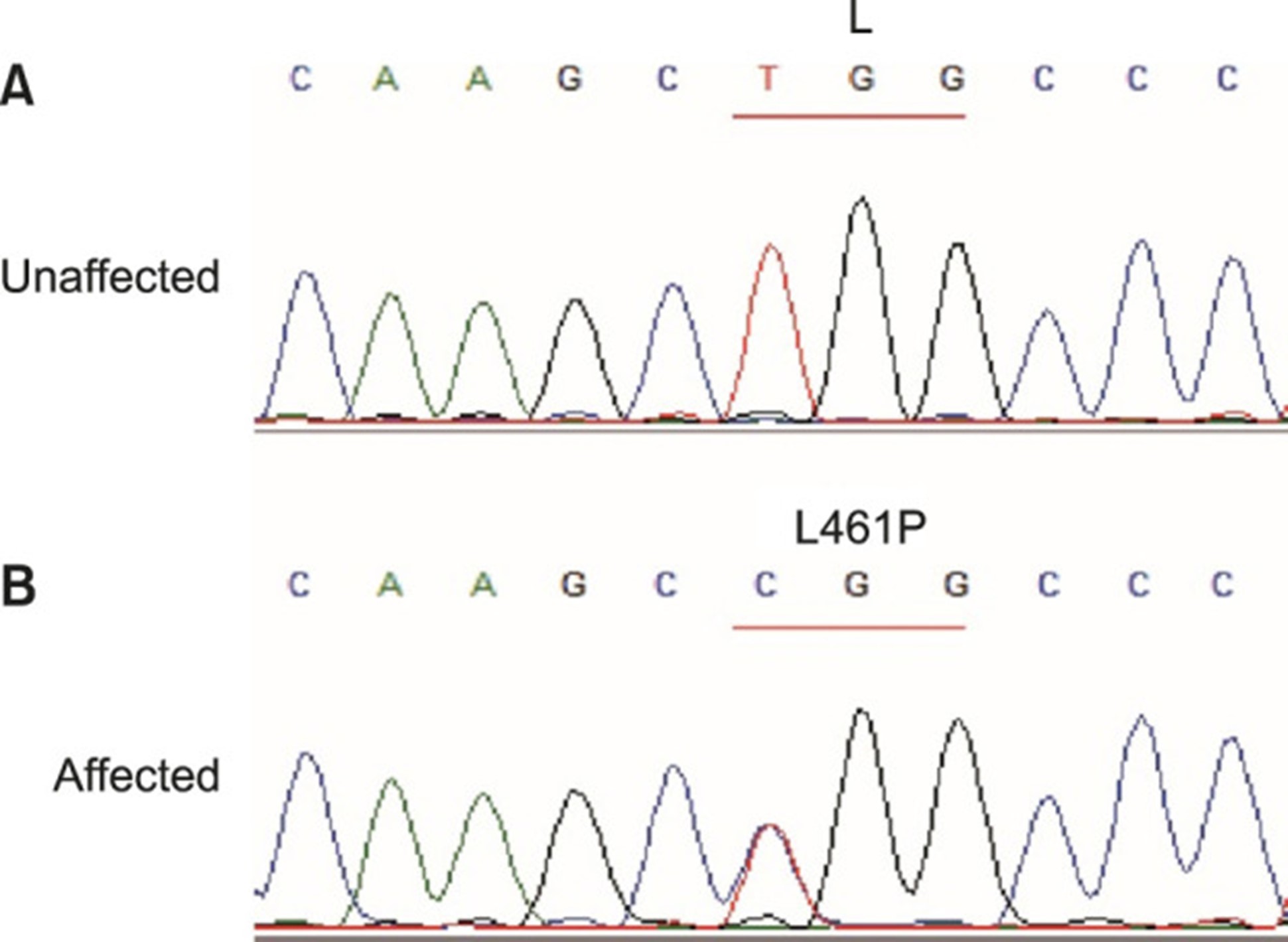 【佳学基因检测】单纯性大疱性表皮松解症基因检测Epidermolysis bullosa simplex