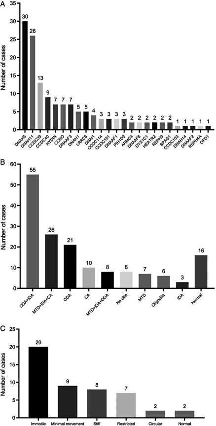【佳学基因检测】原发性纤毛运动障碍临床表现及基因检测结果的变化