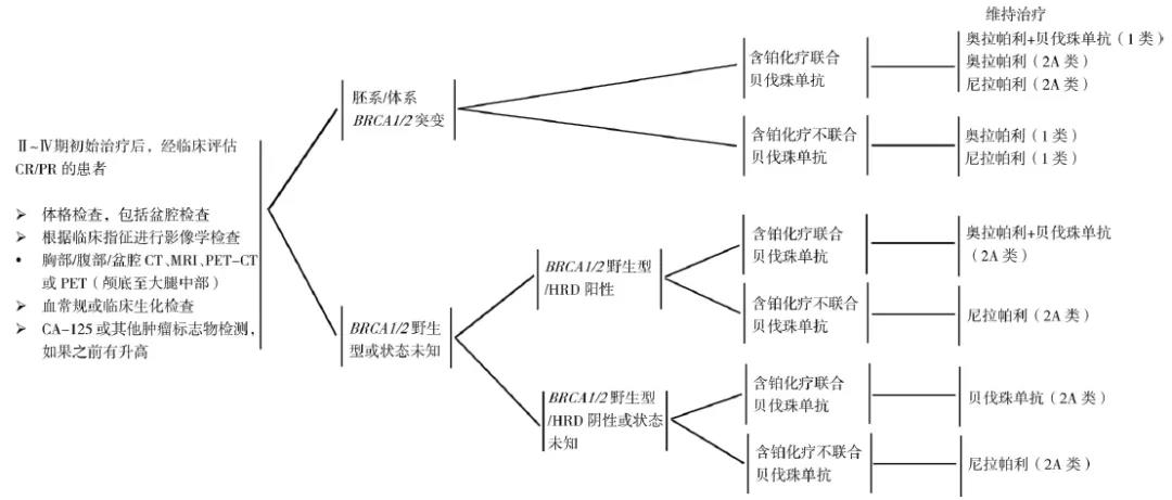 【佳学基因检测】讯飞星火认知大模型中NCAN分子病理检测知识信息源分析