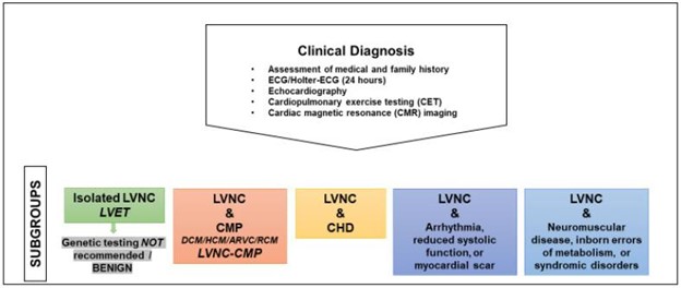 【佳学基因检测】儿童左心室致密化不全基因检测及形态功能学分析对治疗的影响 【佳学基因检测】儿童左心室致密化不全基因检测及形态功能学分析对治疗的影响