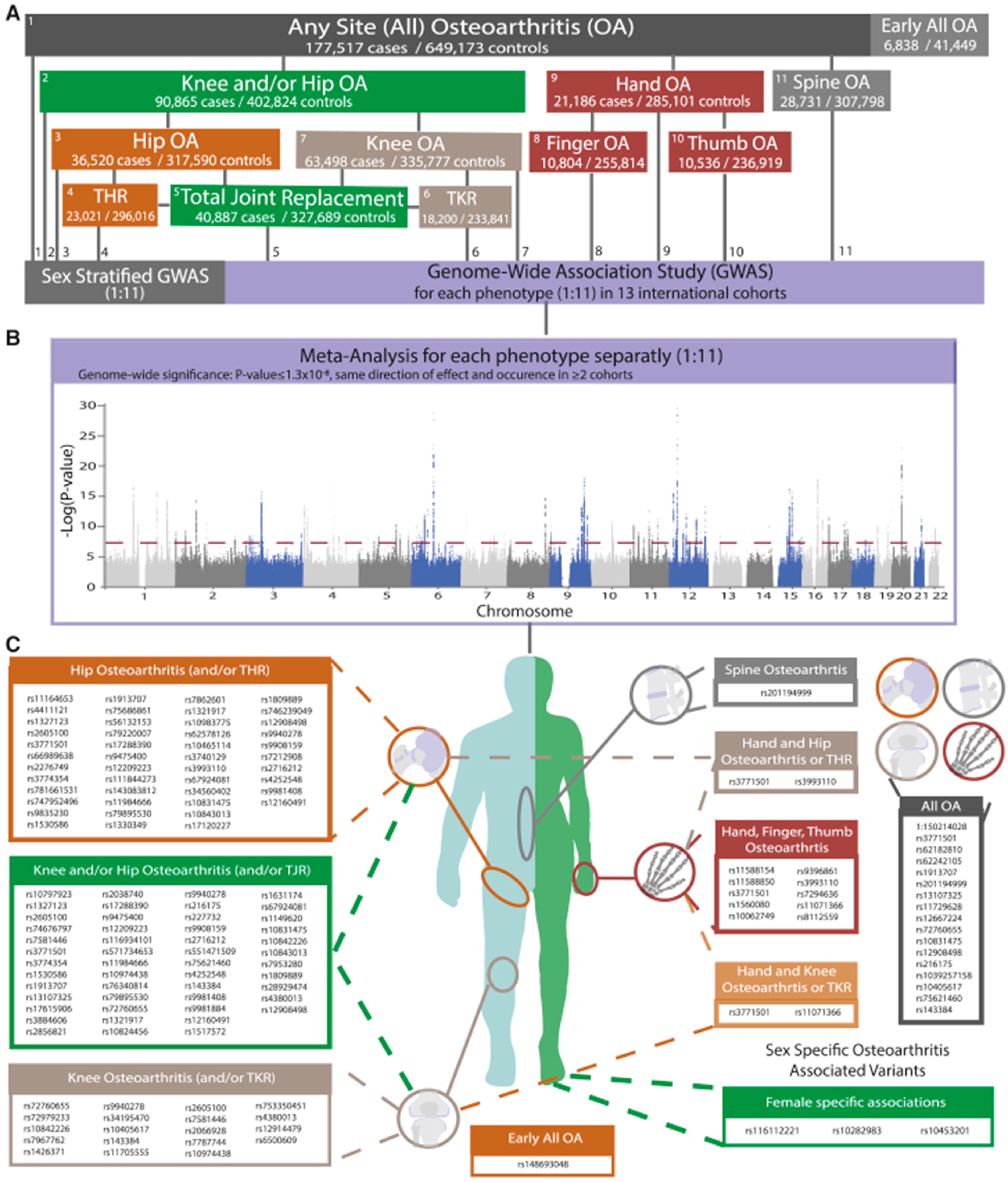 【佳学基因检测】这些关于CSN2的内容，是分子病理检测准确性的必要条件