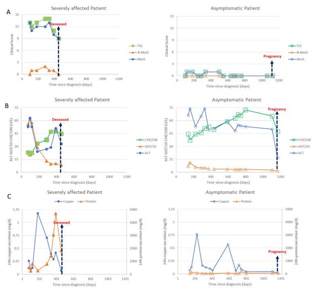 【佳学基因检测】基因检测纯合子双胞胎的临床表型变异性及对治疗法方案的差异性