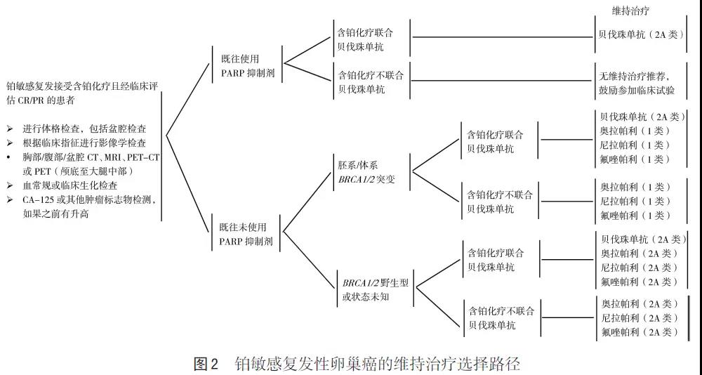 【佳学基因检测】胸外科突变检测项目招标为什么要问CSNK1E的内容