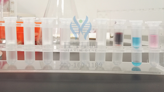 【佳学基因解码-基因检测】怪不得嗯哼的情商这么高!霍思燕的教育方式获赞! 【佳学基因解码-基因检测】怪不得嗯哼的情商这么高!霍思燕的教育方式获赞!