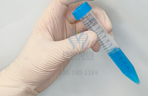 【佳学基因解码-基因检测】为什么爱因斯坦如此聪明，他的两个孩子却是疯子？