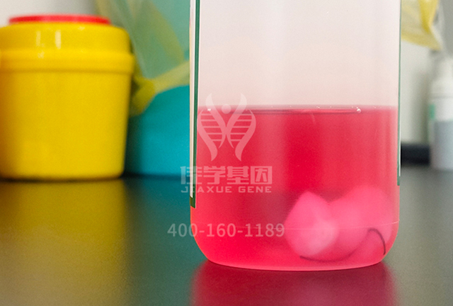 【佳学基因检测】疾病筛查前为什么要问疾病筛查机构是否包含CYP11B2基因？