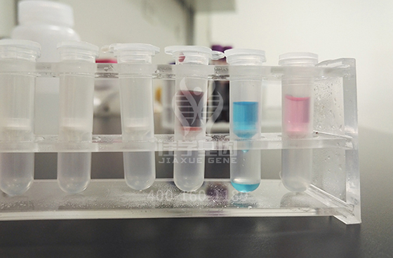 【佳学基因检测】DNMT3B疾病筛查的人工智能分析进展到什么地步？