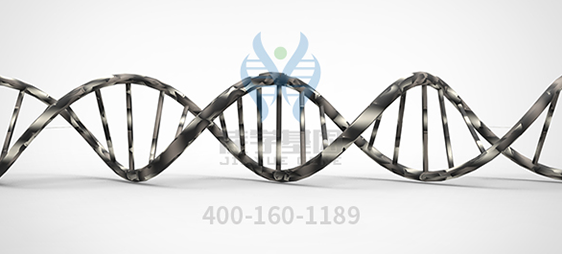 【佳学基因检测