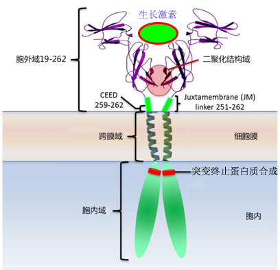 【佳学基因检测