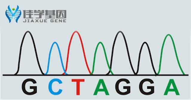 【佳学基因-基因检测】一种没有先期征兆的恶性肿瘤:卵巢癌,正逐渐趋于年轻化 【佳学基因-基因检测】一种没有先期征兆的恶性肿瘤:卵巢癌,正逐渐趋于年轻化