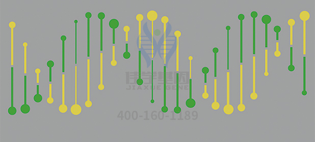 【佳学基因-基因检测】父母均正常，为什么孩子会患上“瓷娃娃”——成骨不