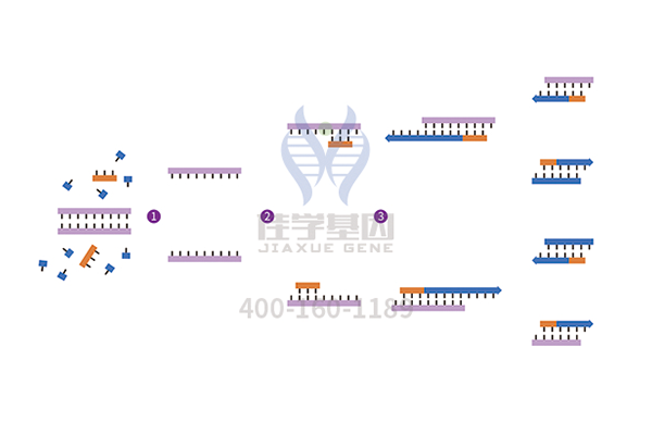 【佳学基因解码-基因检测】儿童的眼中“钉”——视网膜母细胞瘤 【佳学基因解码-基因检测】儿童的眼中“钉”——视网膜母细胞瘤