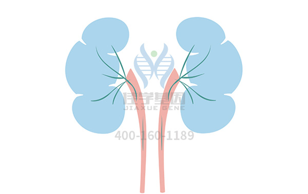 【佳学基因-基因检测】基因解码，发现结节硬化征（TSC）的致病基因