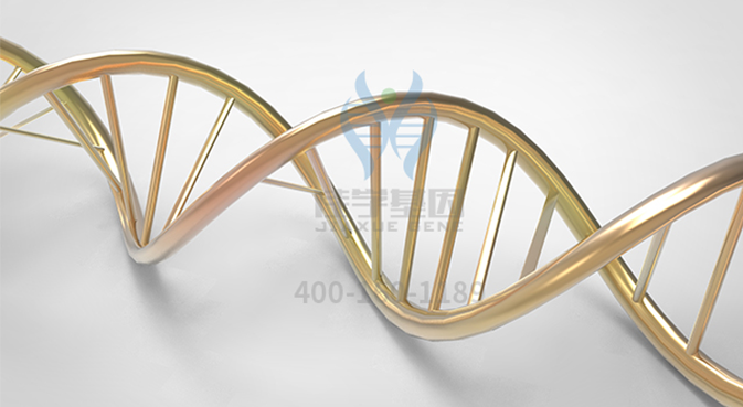 【佳学基因检测】食管腺癌基因解码、基因检测 【佳学基因检测】食管腺癌基因解码、基因检测
