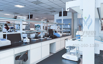 【佳学基因解码-基因检测】古今中外,有哪些王室被“遗传病噩梦”所困扰? 【佳学基因解码-基因检测】古今中外,有哪些王室被“遗传病噩梦”所困扰?