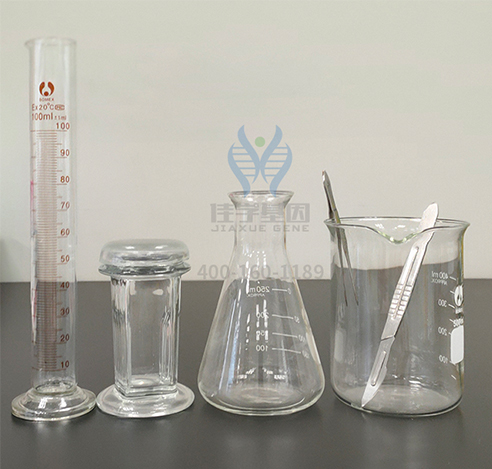 【佳学基因检测】药物性耳聋基因解码、基因检测 【佳学基因检测】药物性耳聋基因解码、基因检测