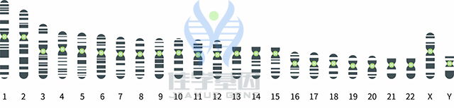 【佳学基因检测】什么是基因检测GPS定位技术? 【佳学基因检测】什么是基因检测GPS定位技术?