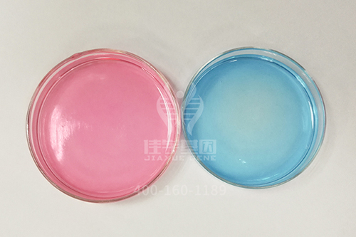 【佳学基因检测】脂质性肥胖基因解码、基因检测