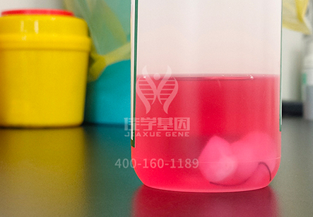 【佳学基因解码-基因检测】给又懒又馋的你找点借口，就让基因来背这个锅！