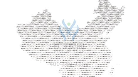 【佳学基因解码-基因检测】2018世界血友病日:分享知识 我们更坚强 【佳学基因解码-基因检测】2018世界血友病日:分享知识 我们更坚强
