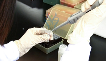 【佳学基因解码-基因检测】幽闭恐惧症，是矫情还是真病？