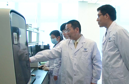 【佳学基因解码-基因检测】世界首例体细胞克隆猴在中国诞生,基因编辑技术如何更好的服务人类? 【佳学基因解码-基因检测】世界首例体细胞克隆猴在中国诞生,基因编辑技术如何更好的服务人类?