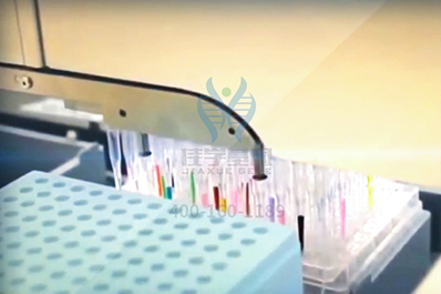 【佳学基因-基因检测】基因解码专家揭示:为什么有些人对免疫疗法的反应比其他人好? 【佳学基因-基因检测】基因解码专家揭示:为什么有些人对免疫疗法的反应比其他人好?