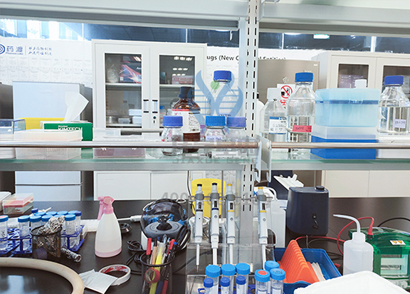 【佳学基因-基因检测】解密天赋:世界上智商最高的小女孩,4岁智商接近爱因斯坦,1岁就能正常交流 【佳学基因-基因检测】解密天赋:世界上智商最高的小女孩,4岁智商接近爱因斯坦,1岁就能正常交流