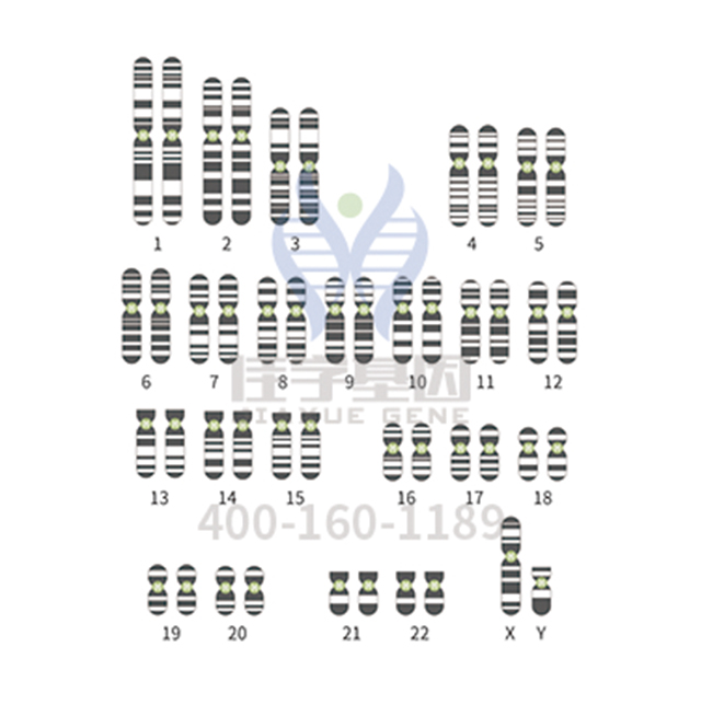 该做哪个部位的