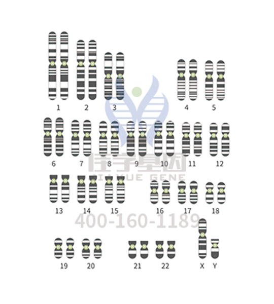 【佳学基因检测】防止儿童患佝偻病,应早发现早治疗 【佳学基因检测】防止儿童患佝偻病,应早发现早治疗